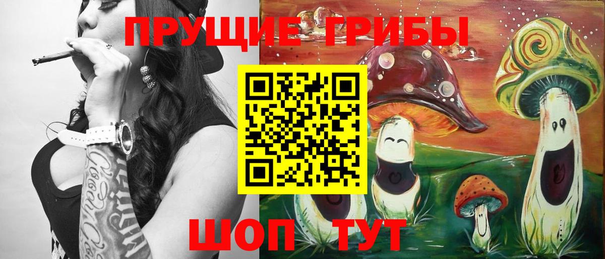 Галлюциногенные грибы MAGIC MUSHROOMS  Вход с VPN  Кольчугино 